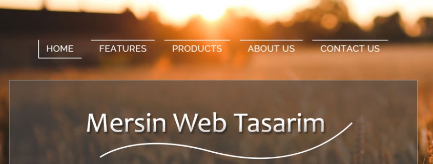 Mersin web tasarım - notebook tamiri mersin