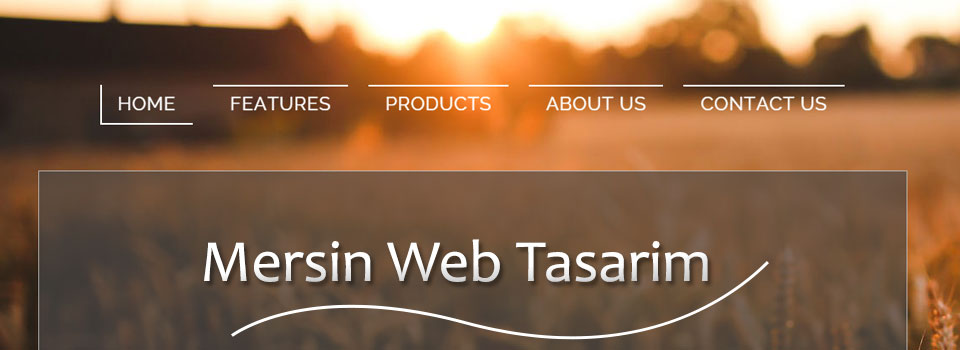 Mersin web tasarım - notebook tamiri mersin